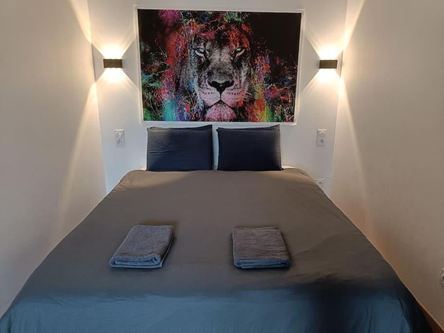 Appartement Confort Equipe Au Coeur De เบซิเยร์ ภายนอก รูปภาพ